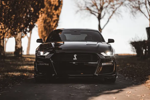 Kasino Golden Palace Android/iOS Aplikácia